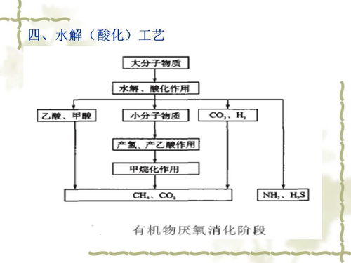 新型生物處理技術(shù) 活性污泥法與生物化工產(chǎn)品技術(shù)研發(fā)的融合與創(chuàng)新