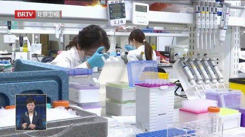 中國(guó)生物科技從0到1的突破 生物化工產(chǎn)品技術(shù)研發(fā)的基石與未來(lái)